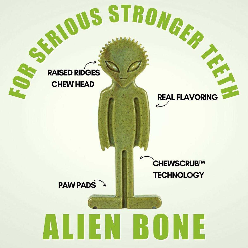 Small Alien Bone Dog Chew Toy T12777