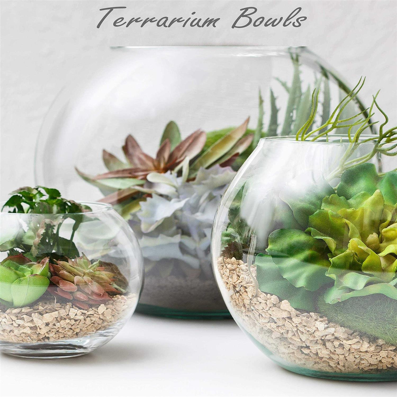 Large Glass Bubble Bowl Fish Bowl Vase J74022