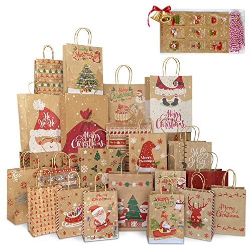 24 Pack Assorted Sizes Kraft Paper Bags with Handles and 50 Tags A46786