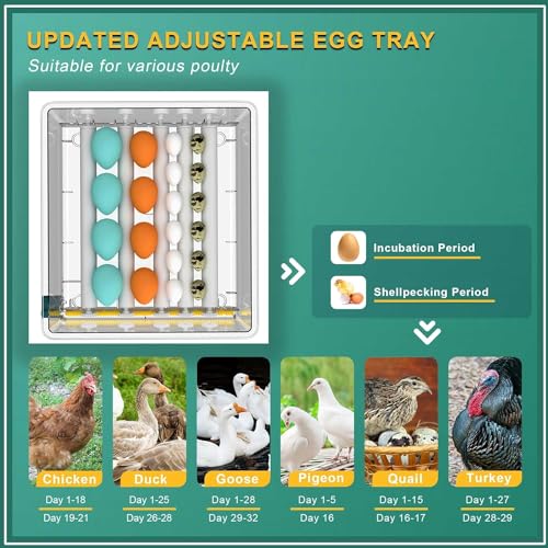 16 Egg Incubator with Automatic Egg Turning and Humidity Control U2001