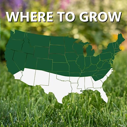 Black Beauty Dense Shade Grass Seed 7 lb A5828