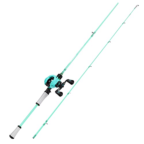 Spinning & Baitcasting Fishing Rod Reel Combo with Graphite Blanks, Stainless Steel Guides V1899