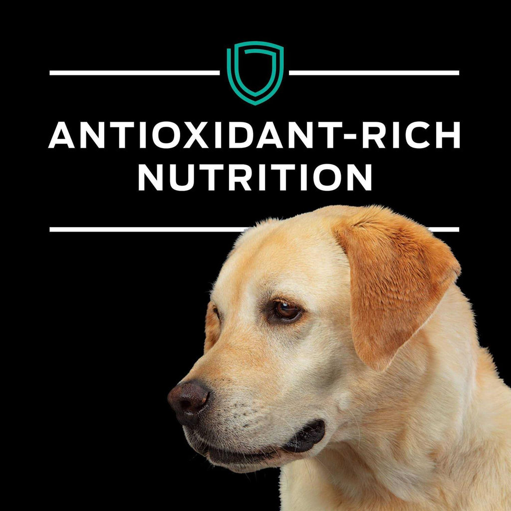 EN Gastroenteric Formula Dry Dog Food T41639