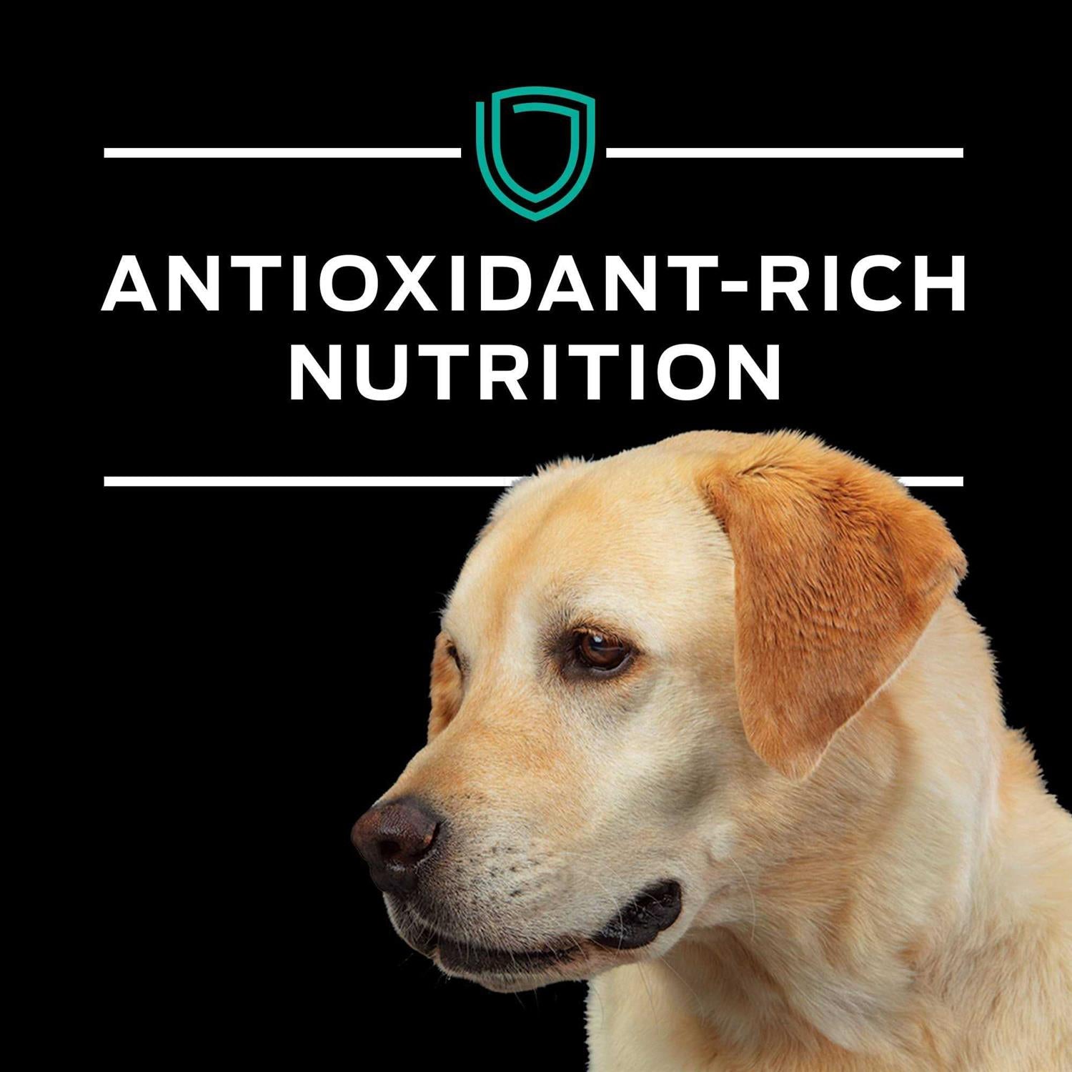 EN Gastroenteric Formula Dry Dog Food T41639