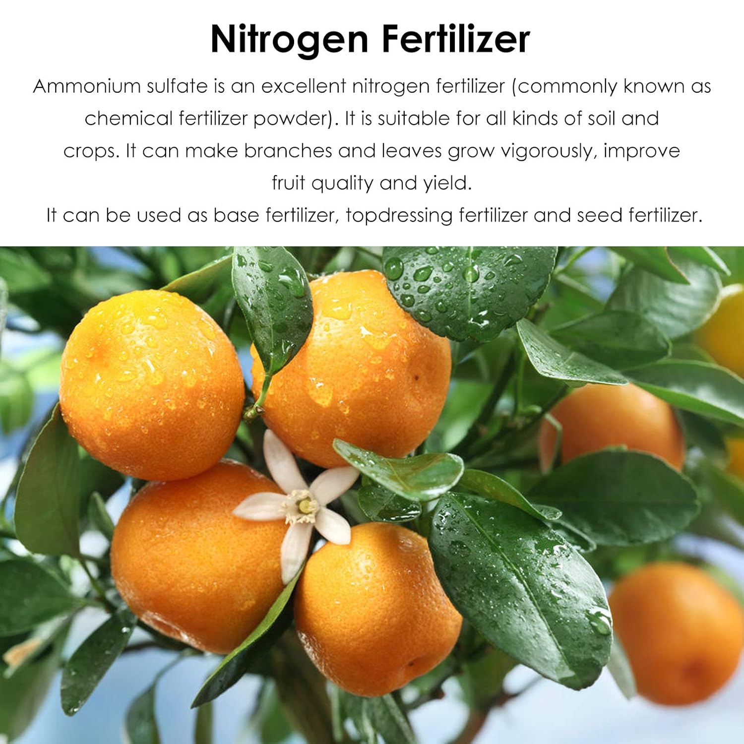 Ammonium sulfate inorganic salt soil fertilizer (500g) B788
