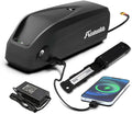 48V 20AH Lithium ion Electric Bike Battery Pack with Charger V825