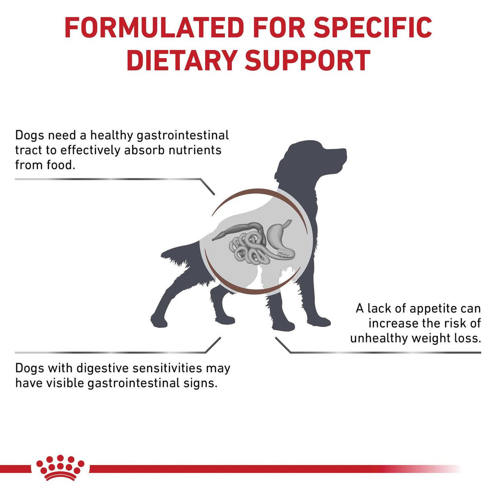 Veterinary Diet Canine Gastrointestinal Dry Dog Food N890