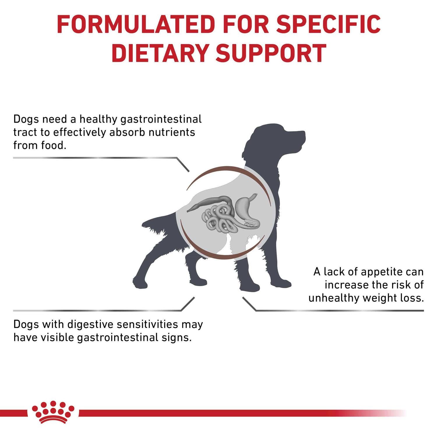 Veterinary Diet Canine Gastrointestinal Dry Dog Food N890