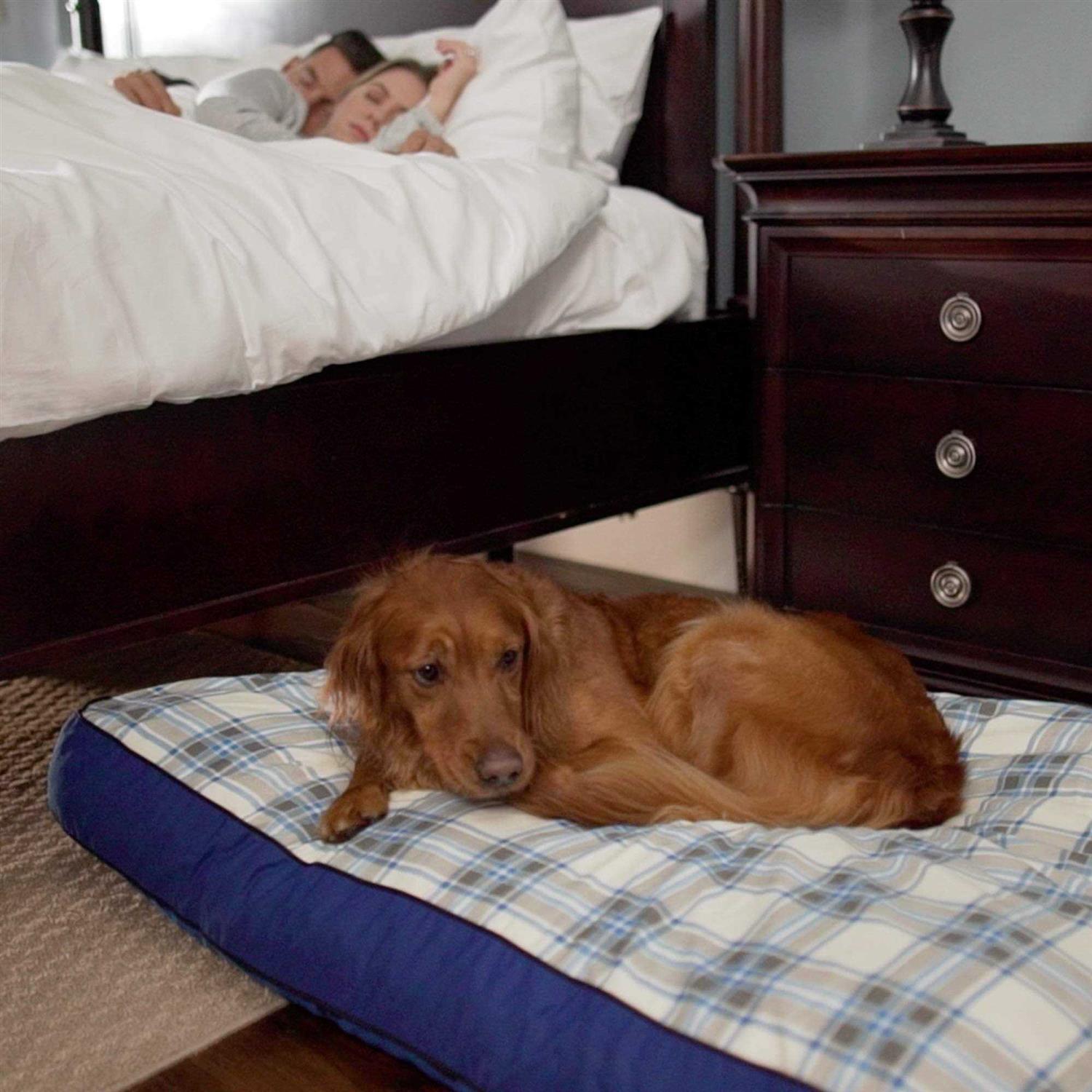 Dog Bed D829167