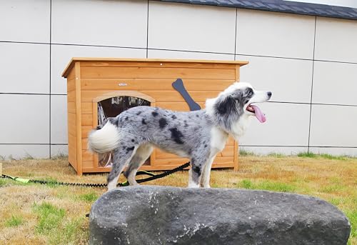 Natural Wooden Doghouse with Elevated Floor B5066