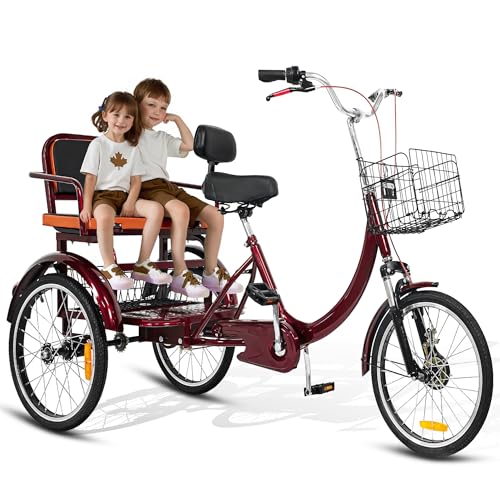 Adult Tricycle, 20 Inch 3-Wheel Bike with Seat and Baskets N6037