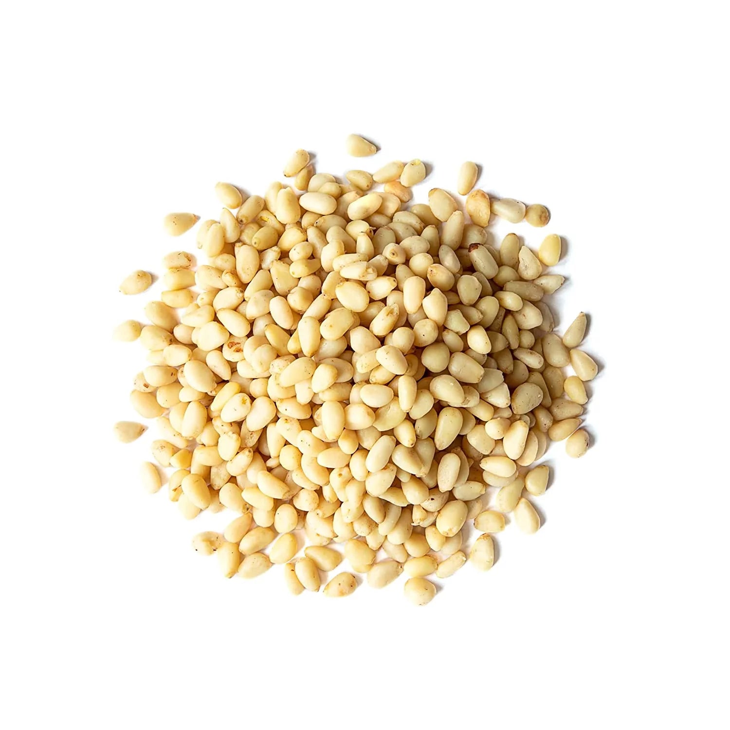 Pine Nuts, 1 Pound — Kosher, Vegan, Raw R680058