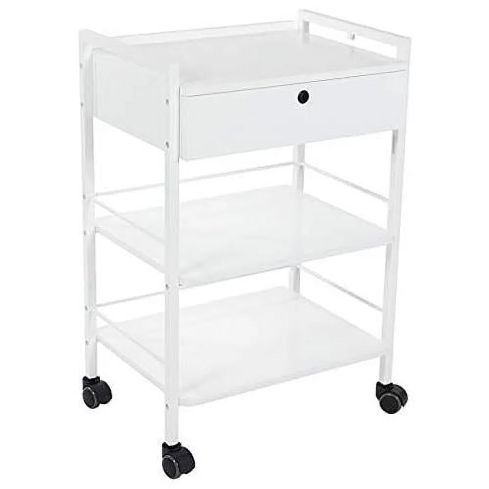 Mobile Utility Cabinet With Steel Frame And One Drawer Q3655