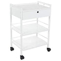 Mobile Utility Cabinet With Steel Frame And One Drawer Q3655