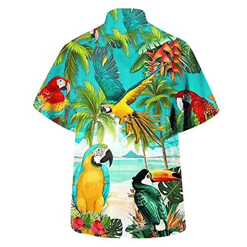 Men Hawaiian Printed Button Down Shirt V2584
