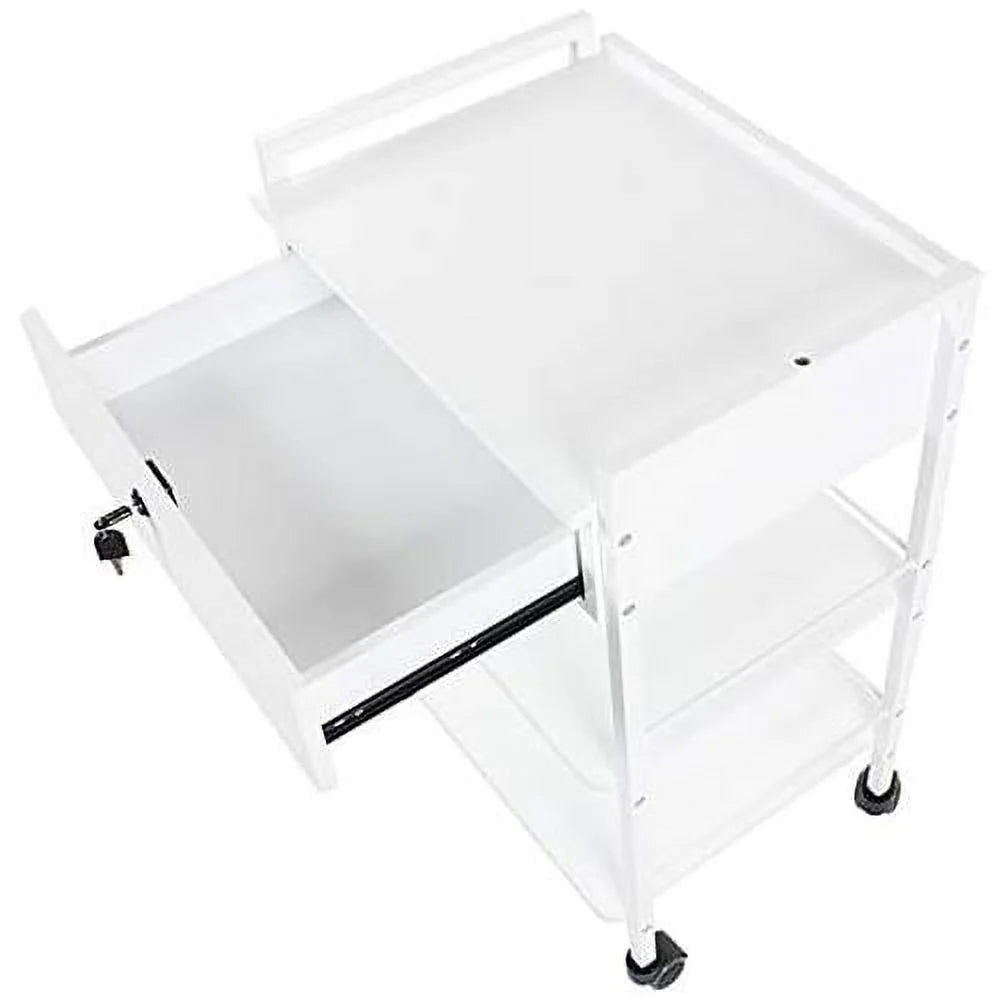 Mobile Utility Cabinet With Steel Frame And One Drawer Q3655