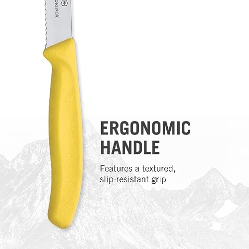 4-Piece Paring Knife Set B21139
