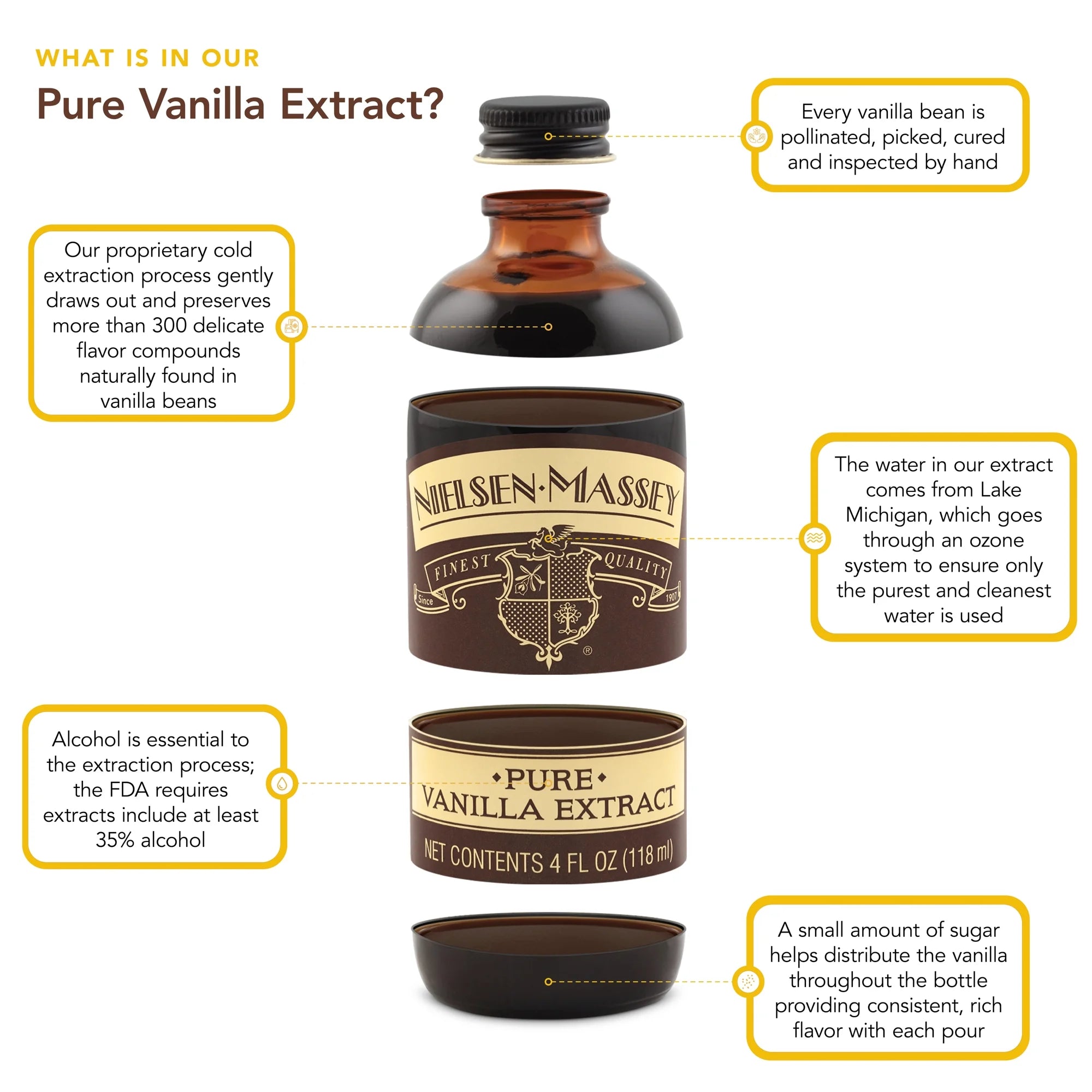 Pure Vanilla Extract, 4 oz B13091