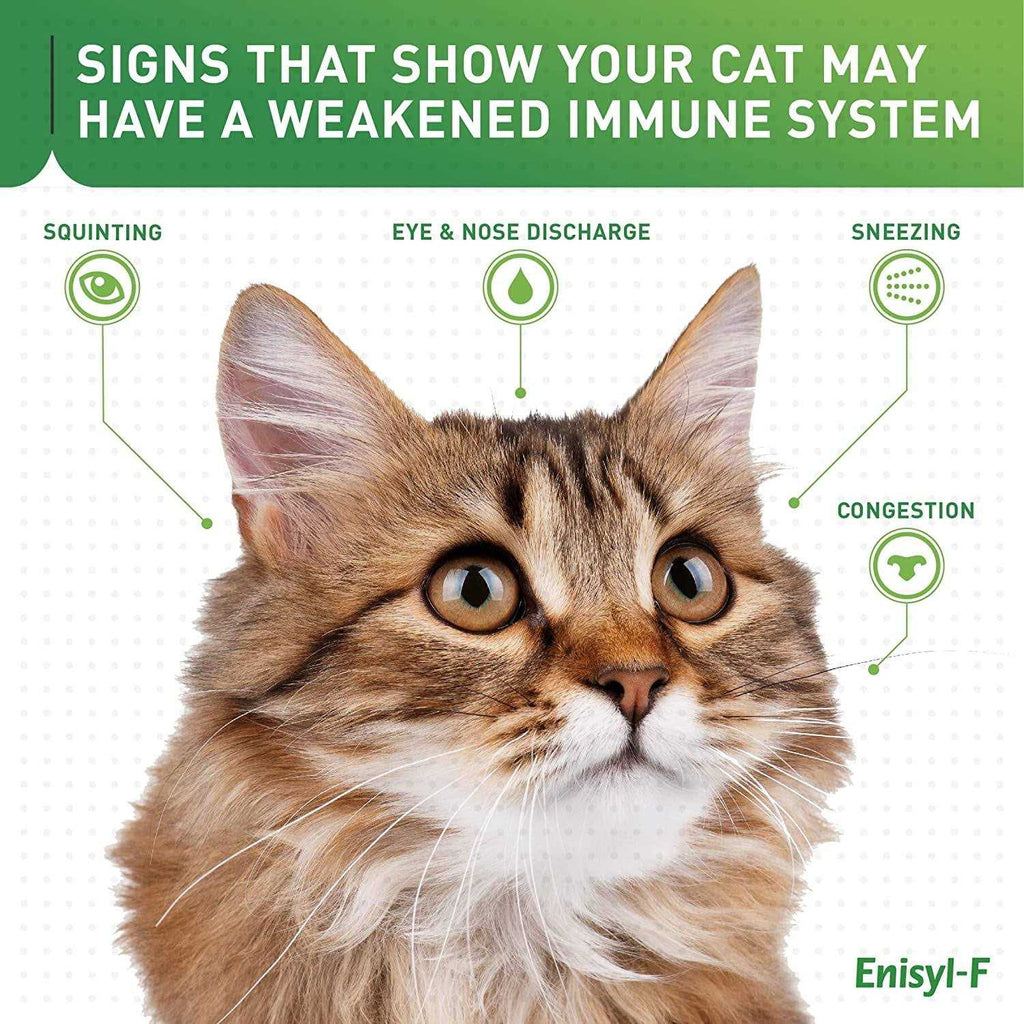 L-Lysine Chews for Cats F3464