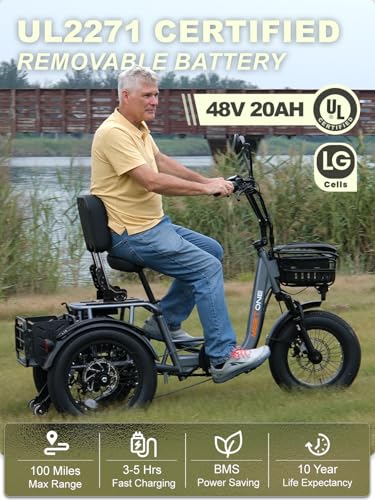 1200W Electric Tricycle, 3 Wheel, 450lbs Load, 4'' Wide Fat Tire Q12502