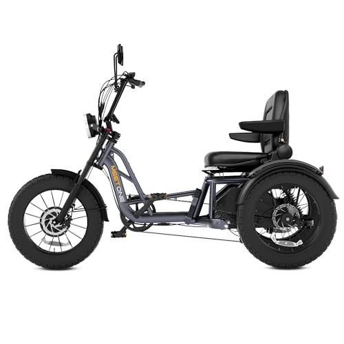 1200W Electric Tricycle, 3 Wheel, 450lbs Load, 4'' Wide Fat Tire Q12502