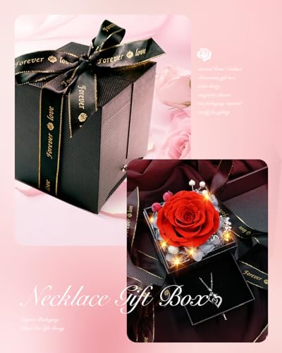 Red Preserved Real Rose Heart Necklace Z359884