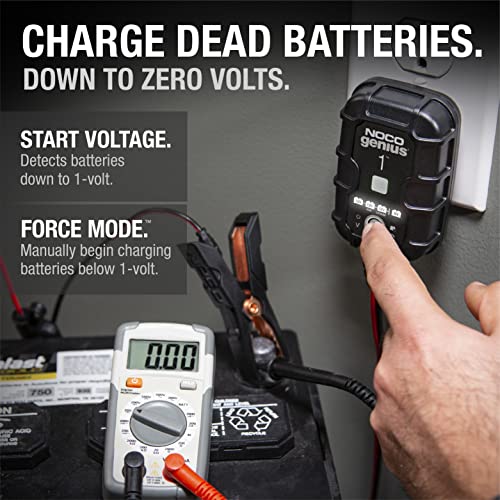 1A 6V/12V Smart Battery Charger for Lead-Acid & Lithium Batteries O9250