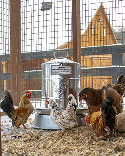 Chicken Waterer Heated Base R718