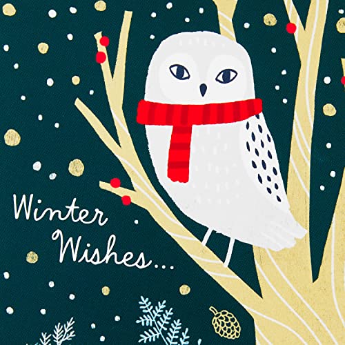 24 Designs Boxed Christmas Cards with Envelopes V90912
