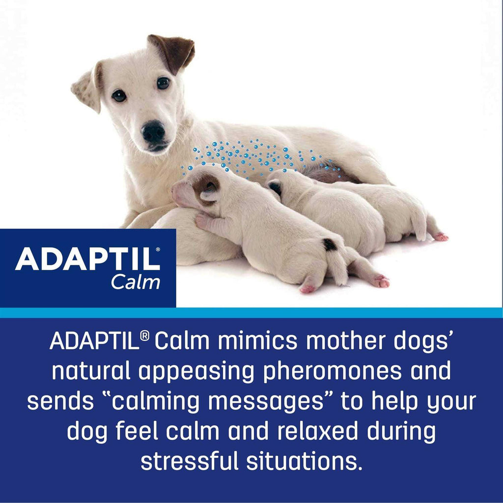 Calming Collar for Dogs M31939