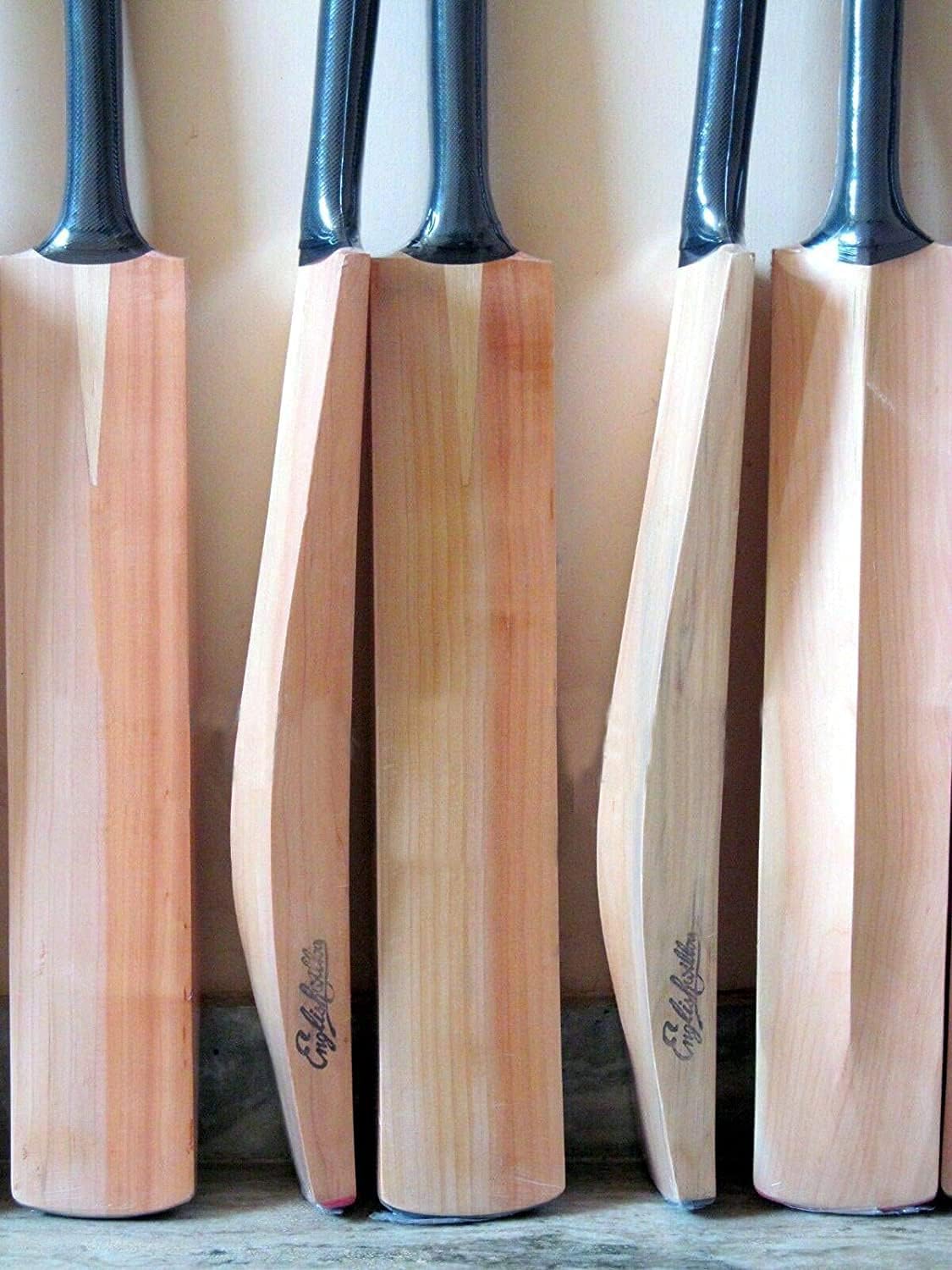 Plain Kashmiri Willow Cricket Bat Regular Size Short Handle W460991