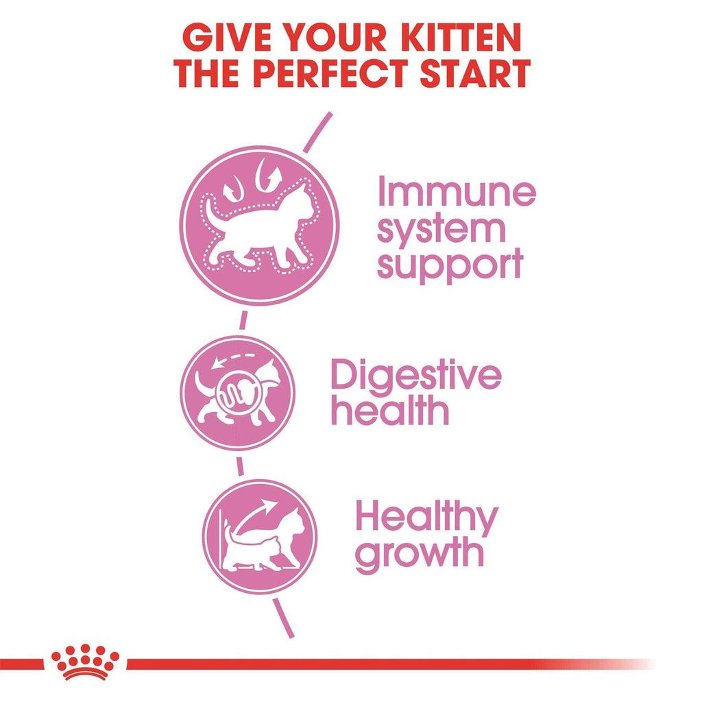 Kitten Dry Cat Food K5105