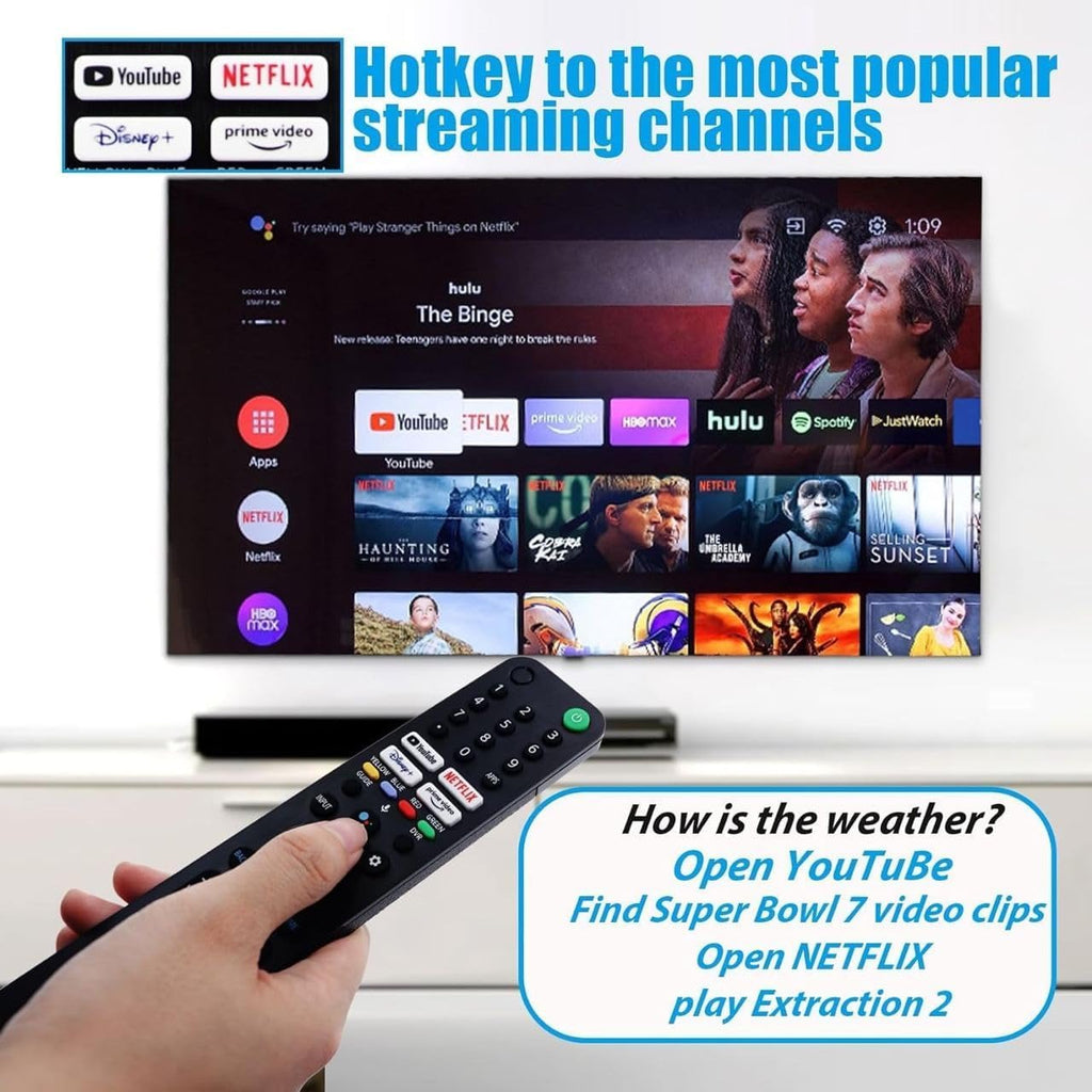 Smart Voice TV Remote Control L3809