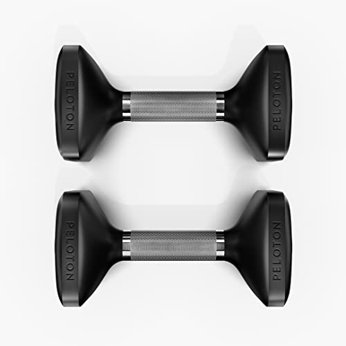 Set of Two Cast Iron Dumbbells with Urethane Coating Y630