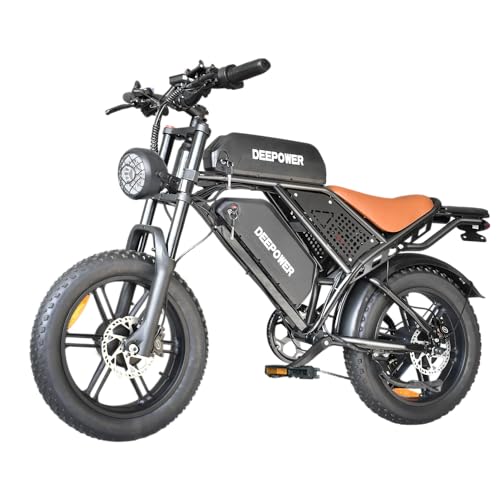 1500W Peak Brushless Motor 30 MPH Fat Tire E Bike with 624-2880Wh Removable Battery 20" Electric Dirt Bike with Dual Suspension and 7-Speed E668