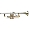 Trumpet with Case B205623
