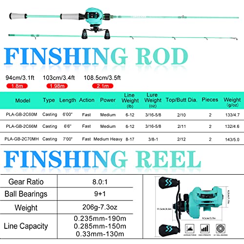 Spinning & Baitcasting Fishing Rod Reel Combo with Graphite Blanks, Stainless Steel Guides V1899