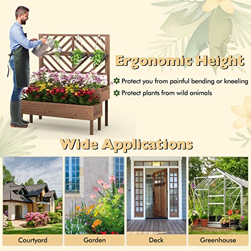 2-Tier Raised Wooden Garden Bed with Trellis X916419