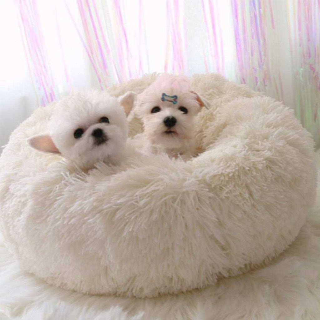 Soft Plush Round Pet Bed for Cats or Small Dogs O296966