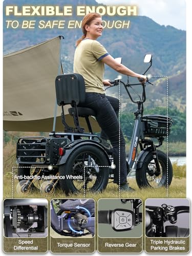 1200W Electric Tricycle, 3 Wheel, 450lbs Load, 4'' Wide Fat Tire Q12502