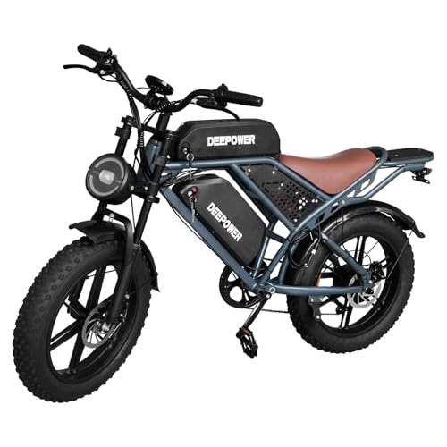 1500W Peak Motor 20" Fat Tire Dual Suspension Electric Bicycle U3512