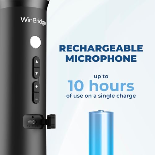 15W Wireless Bluetooth Microphone Speaker with Noise Cancelling J422203