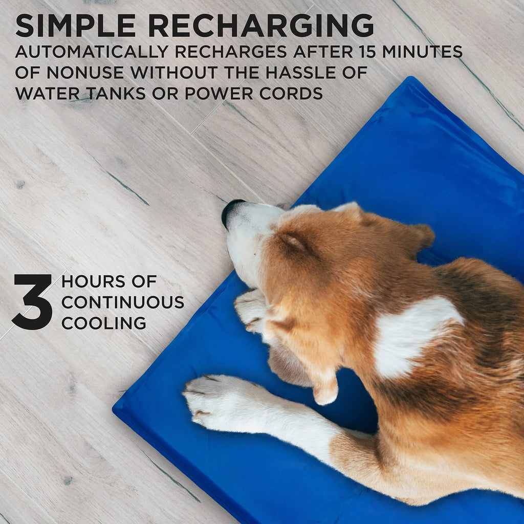 Blue Cooling Gel Pet Mat Q446