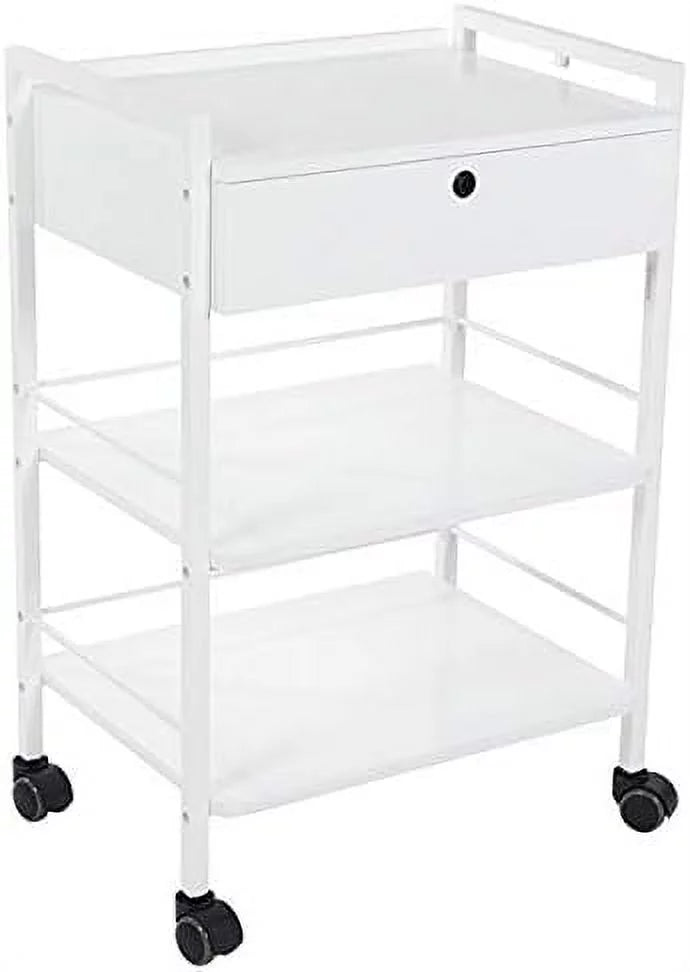 Mobile Utility Cabinet With Steel Frame And One Drawer Q3655