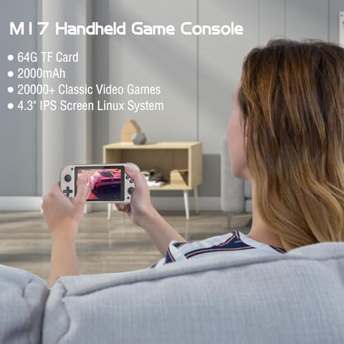 Retro Handheld Video Game Console with 4.3" IPS Screen, 64GB V173