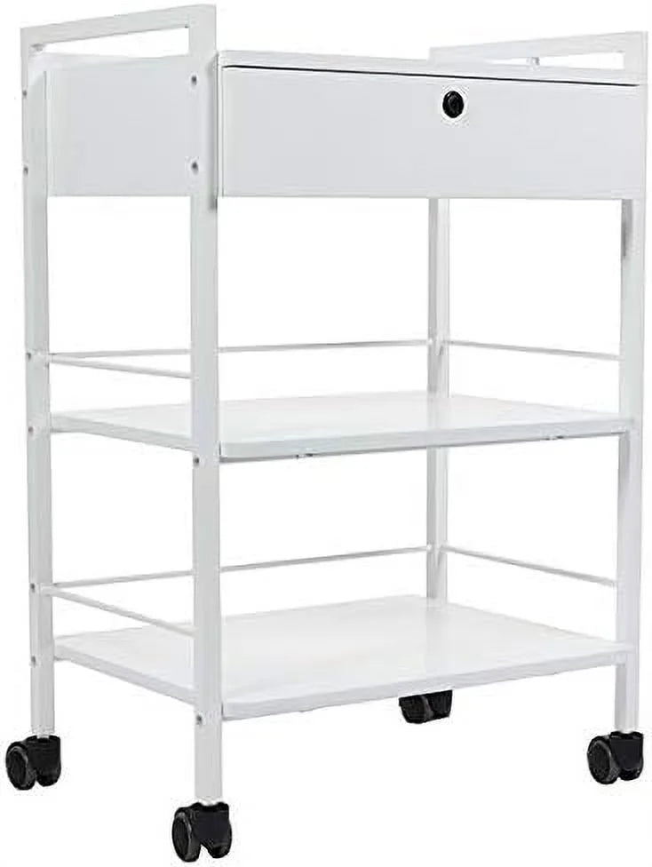 Mobile Utility Cabinet With Steel Frame And One Drawer Q3655