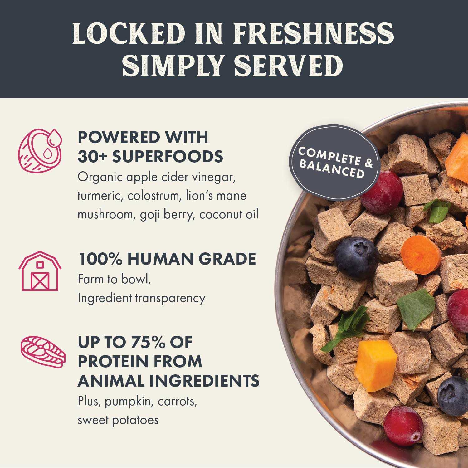 Gently Air Dried Salmon Recipe Dog Food Z967920