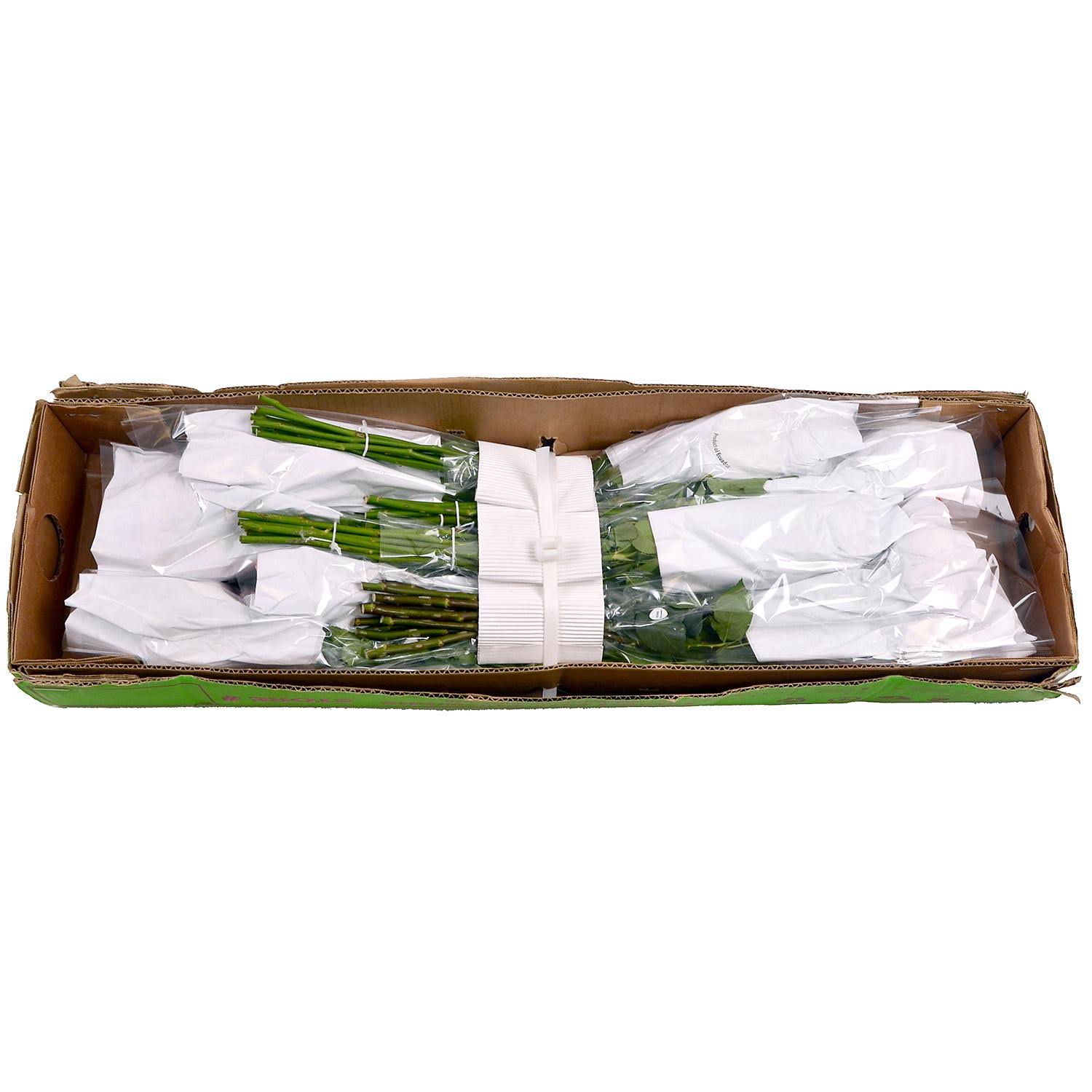 80 Stems Spray Roses H42036