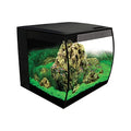 VIVARIUM I7302