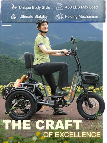 1200W Electric Tricycle, 3 Wheel, 450lbs Load, 4'' Wide Fat Tire Q12502
